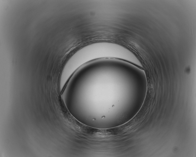 X0000090710556200707271133