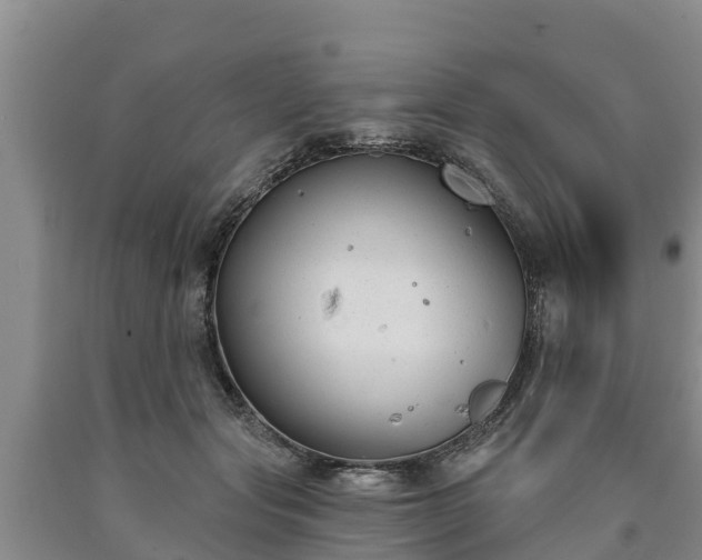 X0000090710557200707271133