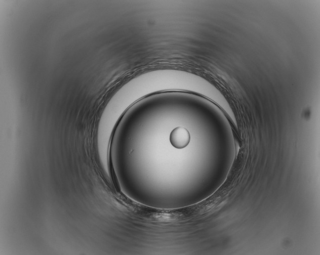 X0000090710558200707271133