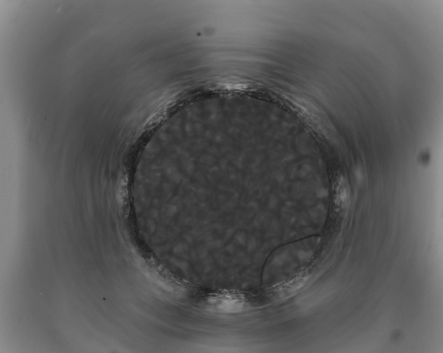 X0000090710559200707271133