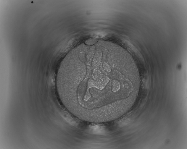 X0000090710561200707271133