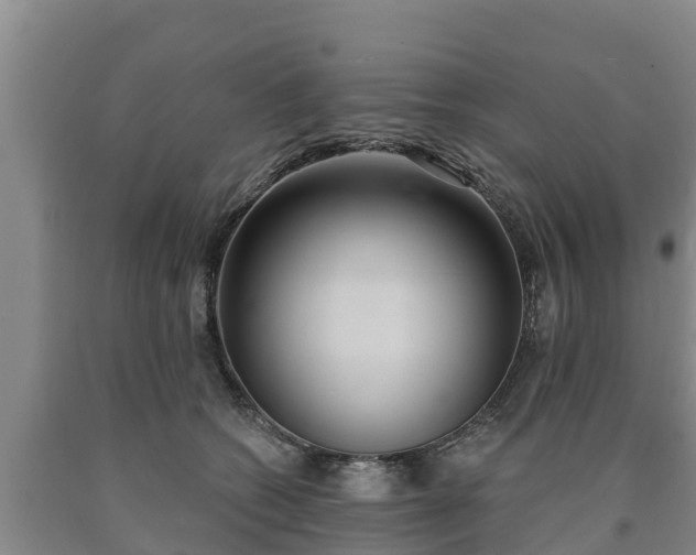 X0000090710562200707271133