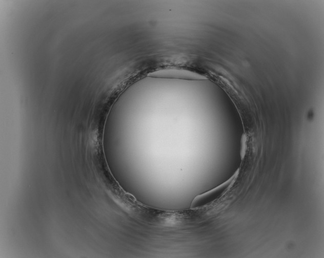 X0000090710564200707271133