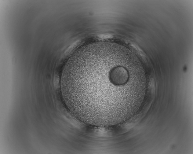 X0000090710565200707271133