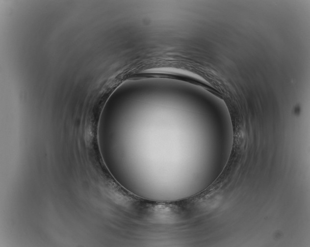 X0000090710566200707271133