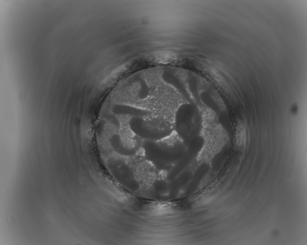 X0000090710569200707271133