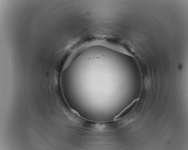 X0000090710570200707271133