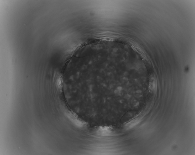 X0000090710573200707271133