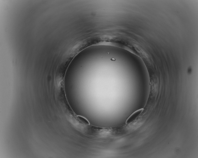 X0000090710574200707271133