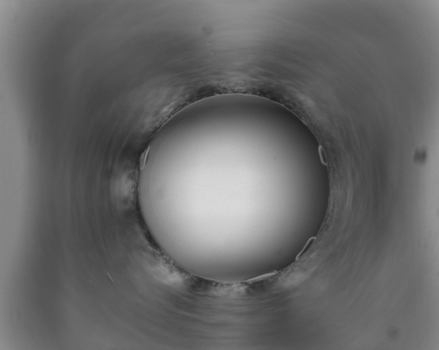 X0000090710576200707271133