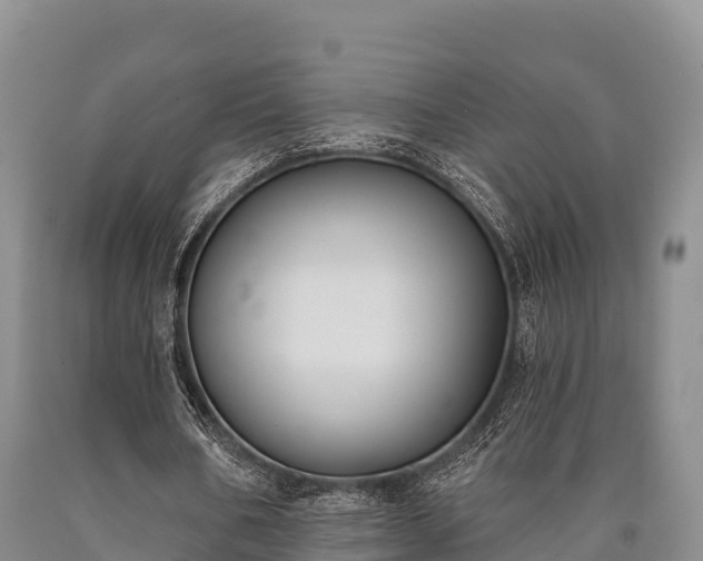 X0000090710578200707271133