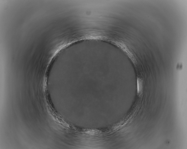 X0000090710579200707271133