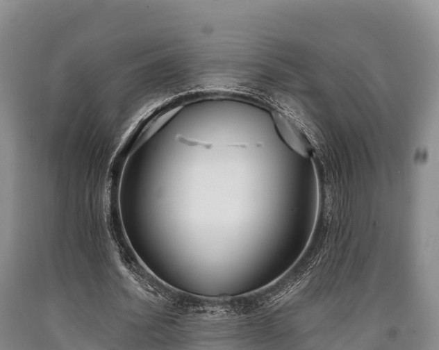 X0000090710580200707271133