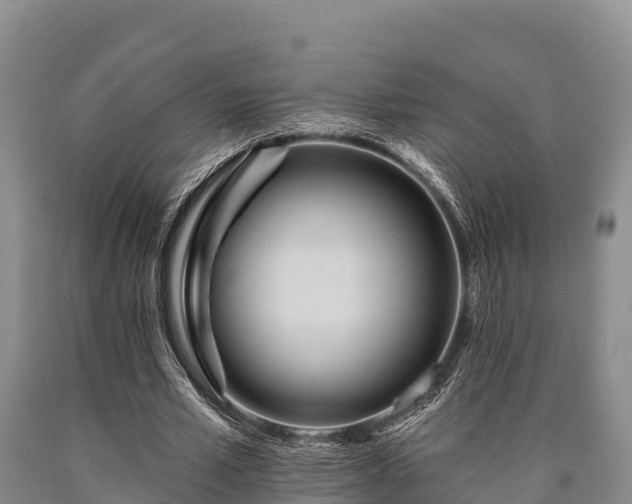 X0000090710581200707271133