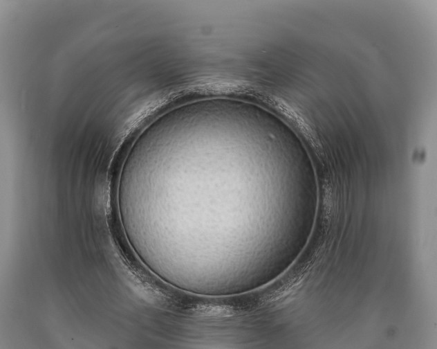 X0000090710582200707271133