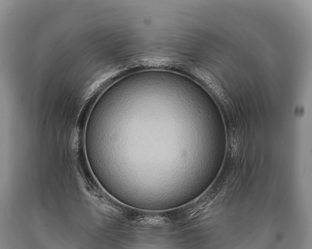 X0000090710583200707271133