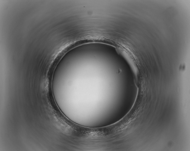 X0000090710584200707271133