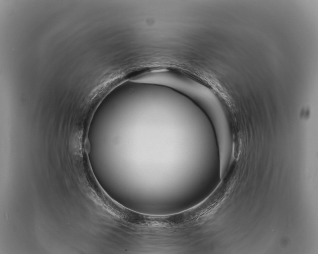 X0000090710585200707271133