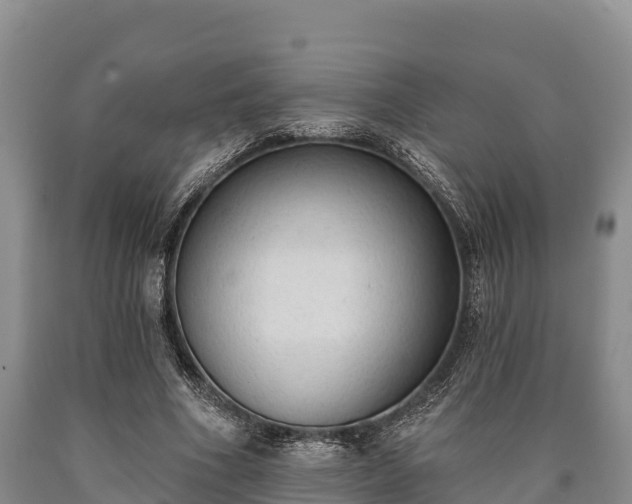 X0000090710586200707271133