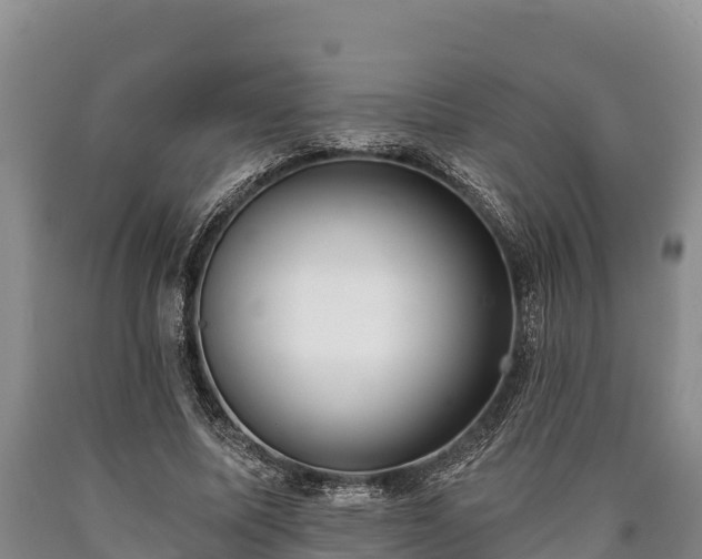 X0000090710587200707271133