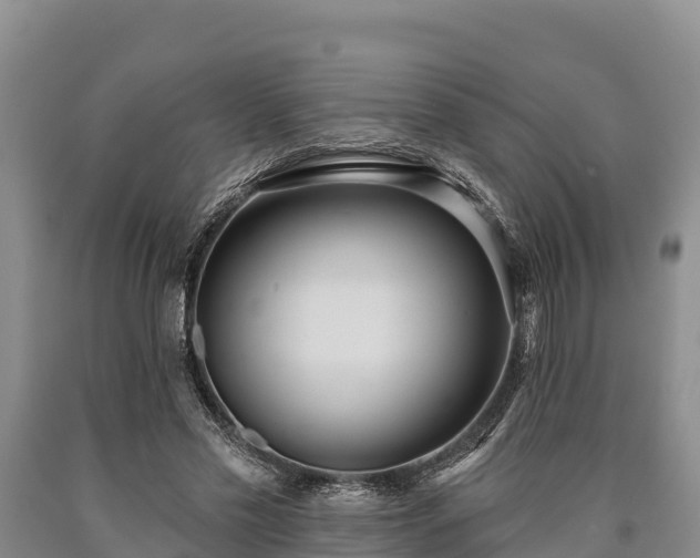 X0000090710589200707271133