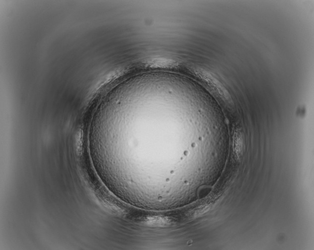 X0000090710591200707271133