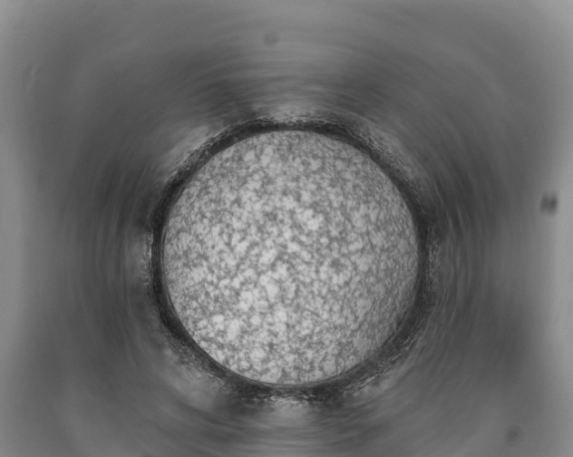 X0000090710592200707271133