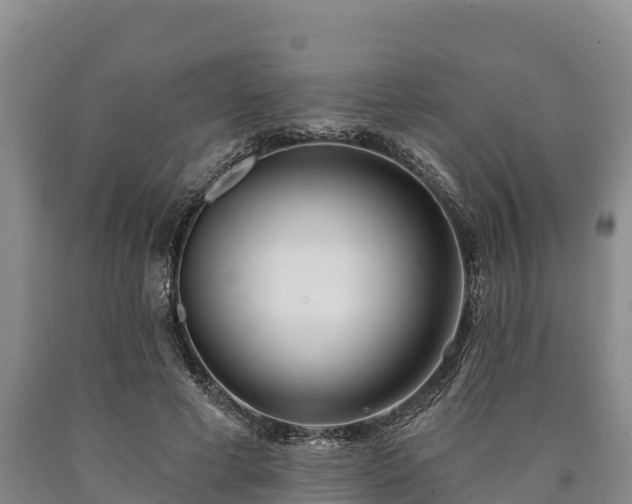 X0000090710593200707271133