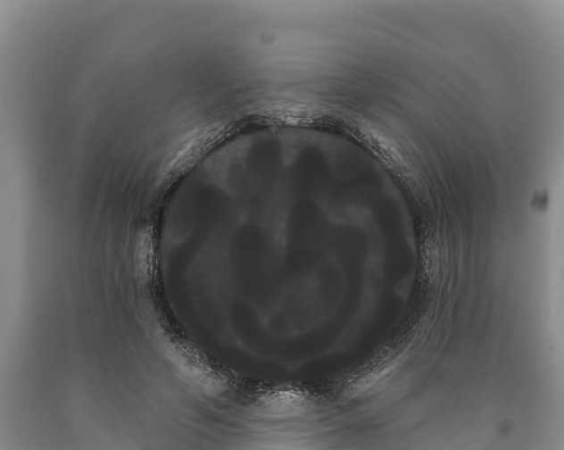 X0000090710594200707271133