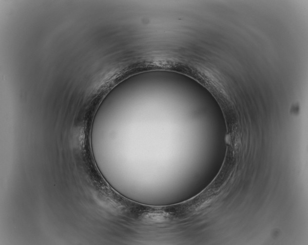 X0000090710595200707271133