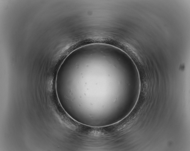 X0000090710596200707271133