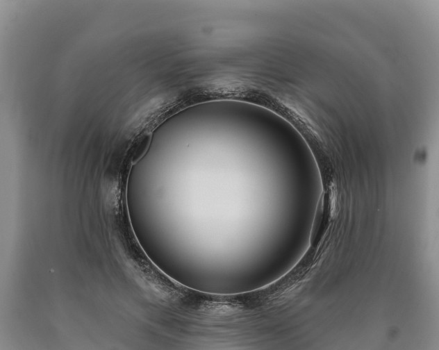 X0000090710597200707271133