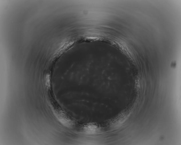 X0000090710598200707271133