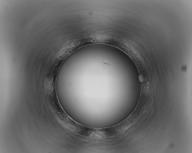 X0000090710599200707271133