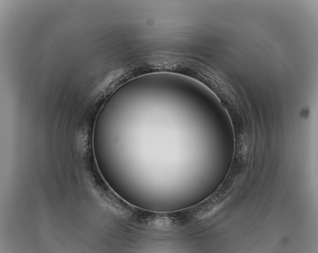 X0000090710600200707271133