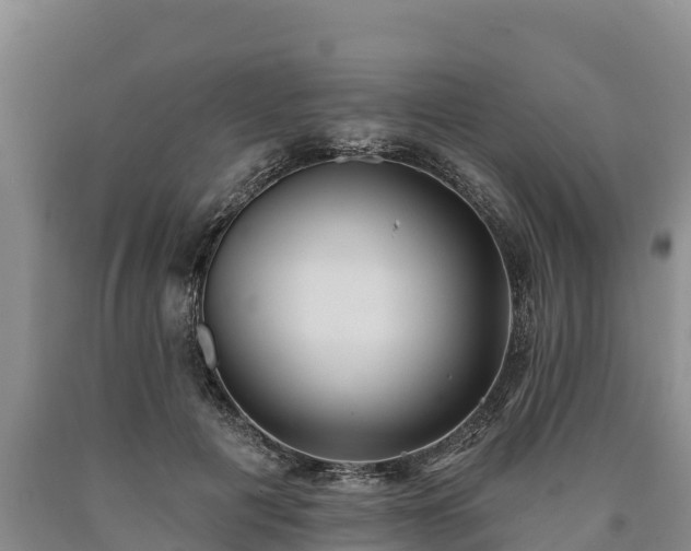 X0000090710601200707271133