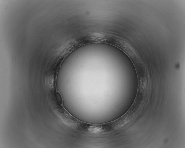 X0000090710602200707271133