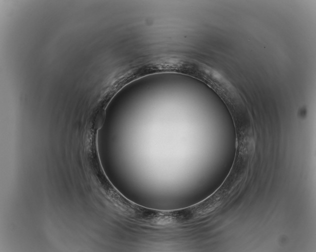 X0000090710604200707271133