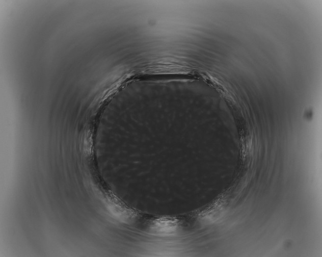 X0000090710606200707271133