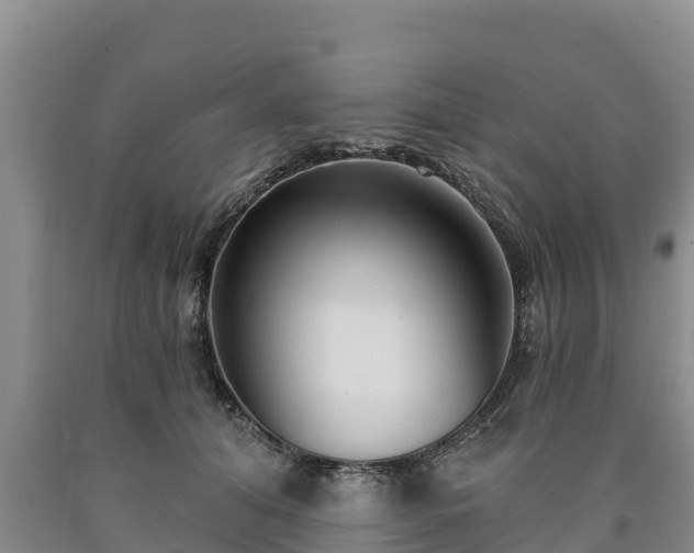 X0000090710608200707271132