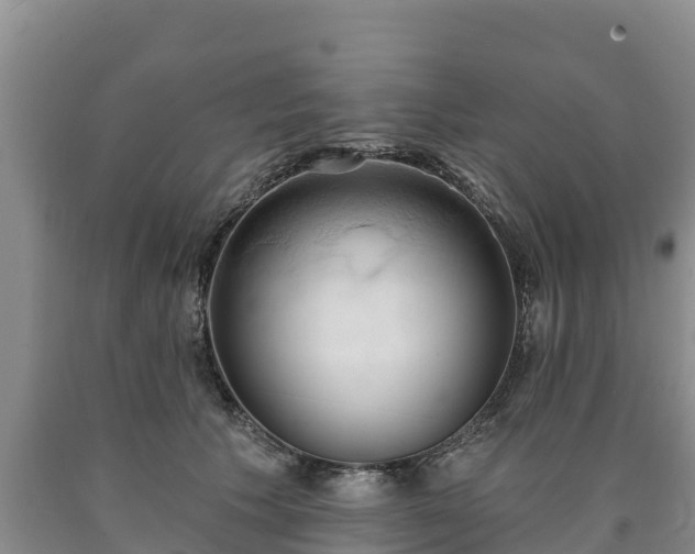 X0000090710609200707271132