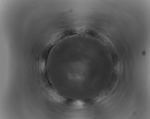 X0000090710610200707271132