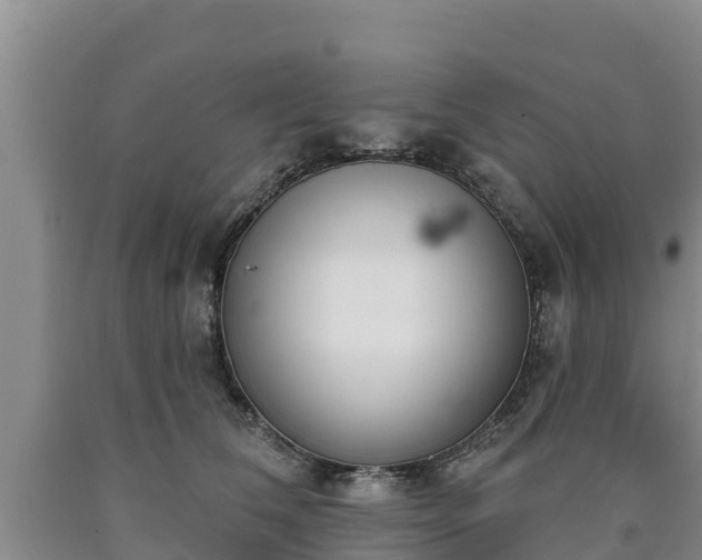 X0000090710612200707271132