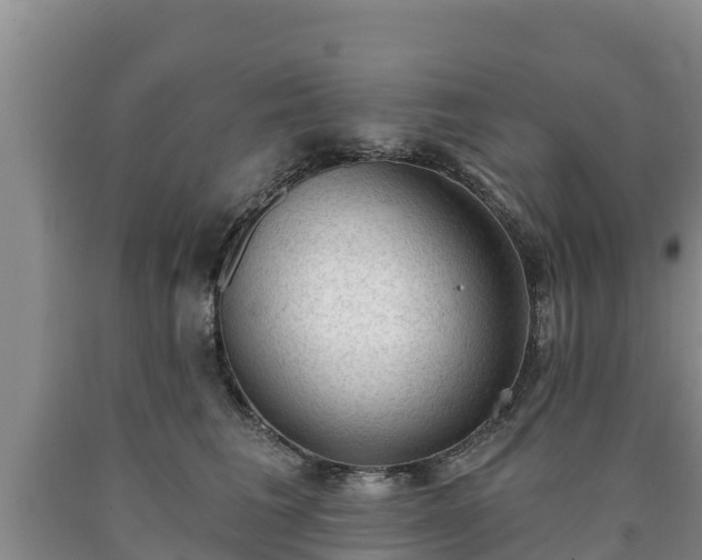 X0000090710613200707271132