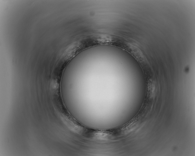 X0000090710614200707271132