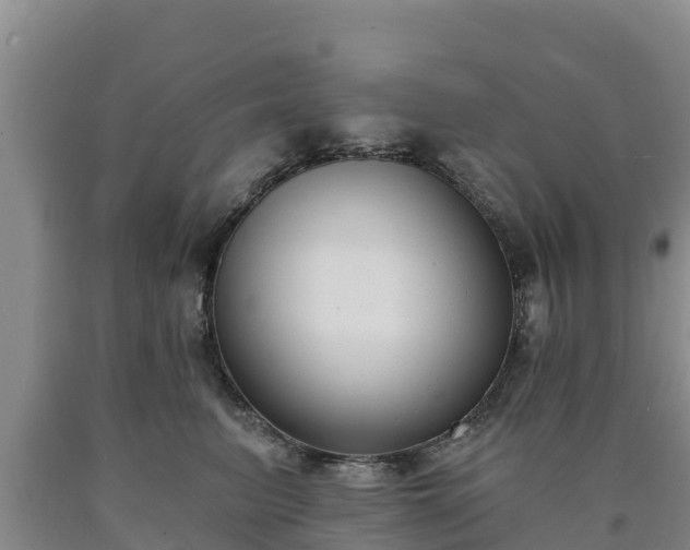 X0000090710615200707271132