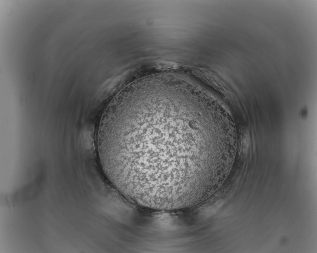 X0000090710616200707271132