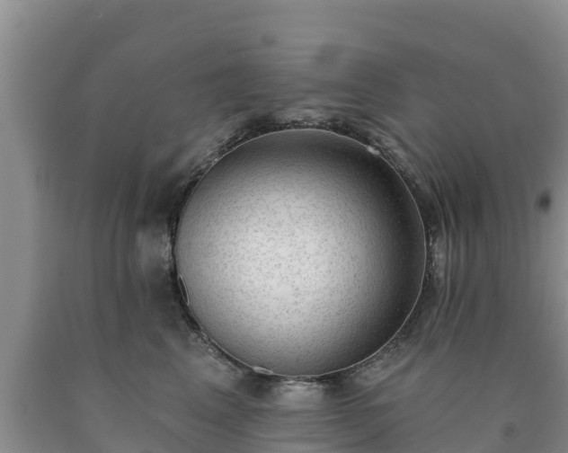 X0000090710617200707271132