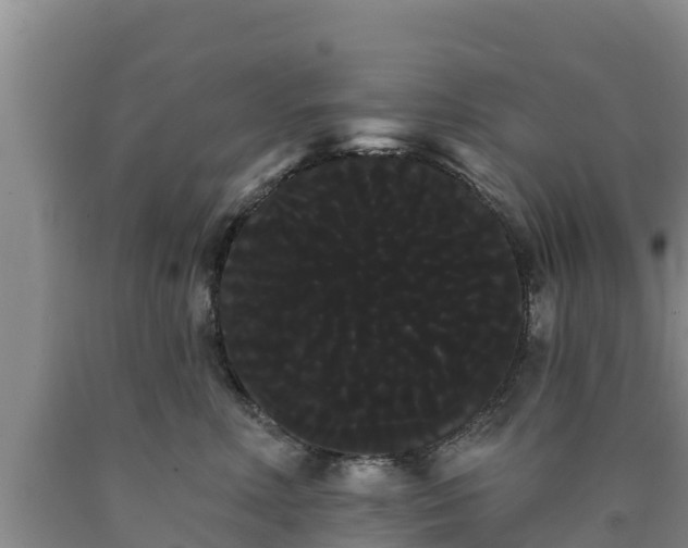 X0000090710618200707271132