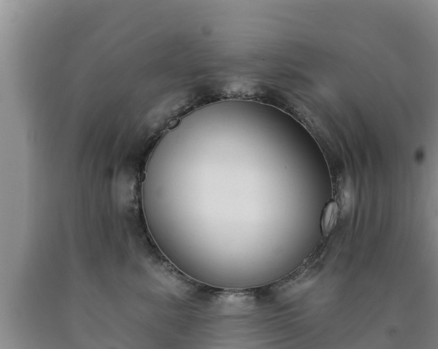 X0000090710619200707271132